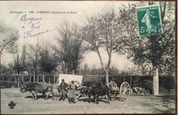Cpa 24 Dordogne, Ribérac, Avenue De La Gare, éd Trèfle MTIL, Attelages Rustiques, Boeufs, Animée, écrite En 1910 - Riberac