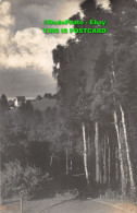 R406572 Landscape. Old Photography. Postcard. 1910 - World