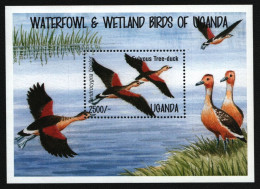 Uganda 1995 - Mi-Nr. Block 227 ** - MNH - Vögel / Birds - Ouganda (1962-...)