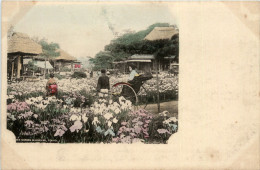 Tokyo - Garden In Horikiri - Tokio