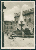 Perugia Assisi Fontana FG Cartolina KB4800 - Perugia