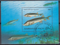 ASERBAIDSCHAN   Block 3, Gestempelt, Fische, 1993 - Azerbaiján