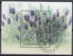 ASERBAIDSCHAN   Block 2, Gestempelt, Einheimische Flora, 1993 - Azerbaïdjan