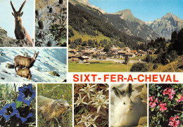 74-SIXT FER A CHEVAL-N°3447-D/0289 - Sixt-Fer-à-Cheval