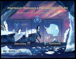 Romania, 2009  CTO, Mi. Bl. Nr. 444                    Preservation Of The Polar Regions - Usado