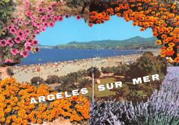 66-ARGELES SUR MER -N°3449-D/0369 - Argeles Sur Mer