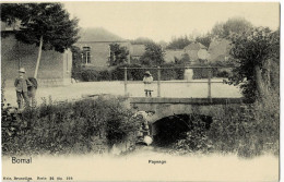 Bomal Paysage Ed. Nels Bruxelles Série 26 N° 198 Circulée En 1905 - Hoei