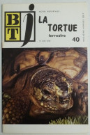 TORTUE TERRESTRE - Livret Bibliothèque De Travail Junior BTJ - Juin 1969 - Dieren