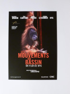 FILM - Les Mouvements Du Bassin - Singe / Bébé - Film De HPG Avec R. Brakni , E. Cantona ... - Carte Publicitaire Cinéma - Scimmie