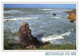 85-BRETIGNOLLES SUR MER-N°3454-D/0021 - Bretignolles Sur Mer