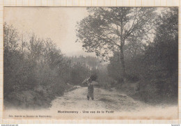 8AK3476 MONTMORENCY UNE VUE DE LA FORET 2 SCANS - Montmorency