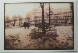 PARIS - JARDIN DU LUXEMBOURG - Cloture / Fauteuil Public - Photographe Hubert GROOTECLAES - Carte Postale Grand Format - Parchi, Giardini
