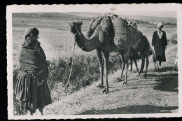 Scènes D'Afrique Départ Pour Le Sud Gaston LEVY - Tunisia