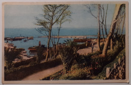 ORAN (Algérie) - Vue Sur Le Port De La Promenade De Letang - Oran