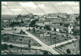 Avellino Ariano Irpino Foto FG Cartolina ZK1931 - Avellino