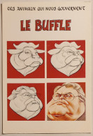 POLITIQUE - PIERRE MAUROY - Caricature / Animaux Qui Nous Gouvernent - Buffle - Satirische