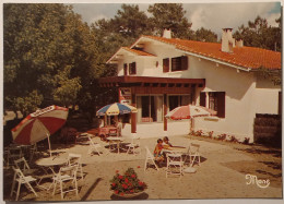 BISCAROSSE (40 Landes) - Auberge Regina - Hotel Restaurant - Terrasse Avec Parasols Miko , Biere Dortmunder ... - Biscarrosse