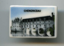 FEVES  - FEVE - CHATEAU DE CHENONCEAU - Région