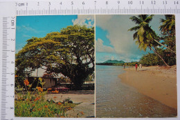 Malabar Beach Hotel, Castries, Saint Lucia - Santa Lucía