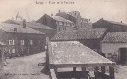 BELGIQUE - RARE - TORGNY - Place De La Fontaine - - Rouvroy