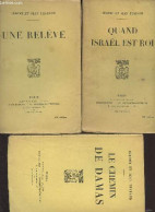 Lot De 3 Livres : Le Chemin De Damas + Quand Israël Est Roi + Une Relève - Tharaud Jérôme Et Jean - 0 - Sonstige & Ohne Zuordnung