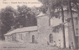 BELGIQUE - TRES RARE - TORGNY - Chapelle Notre Dame De Luxembourg - - Sonstige & Ohne Zuordnung