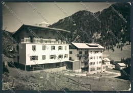 Trento Alba Val Di Fassa Foto FG Cartolina ZF1225 - Trento