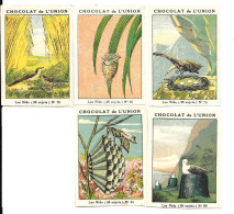 AC64 - IMAGES CHOCOLAT UNION - LES NIDS - OISEAUX - INSECTES - AUTRES N°s DISPONIBLES - Otros & Sin Clasificación