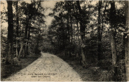 CPA Le Vesinet Asile National Allee Des Chenes (1402542) - Le Vésinet