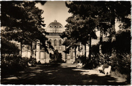 CPA Le Vesinet Le Parc Allee Des Pins (1402539) - Le Vésinet