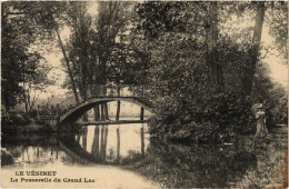 CPA Le Vesinet Passerelle Du Grand Lac (1402525) - Le Vésinet