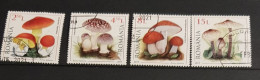 ROMANIA MUSHROOMS-FUNGI SET CTO-USED - Oblitérés