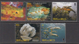 2006 Turks & Caicos Islands Marine Life Fish  Complete Set Of 5 MNH - Turks E Caicos