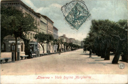 Livorno - Viale Regina MArgherita - Livorno