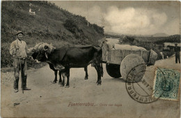 Fuenterrabia - Carro Con Buyes - Altri & Non Classificati