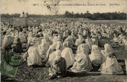 Lecture Du Coran - Ramadan - Tunisie