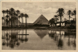Cairo - Piramids Of Gizeh - Cairo