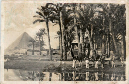 Cairo - Native Village - Cairo