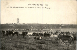 Colonne De Fez - Fez (Fès)