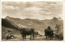 Almidyll An Der Kanisfluh In Vorarlberg - Bregenz