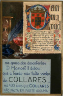 Collares - Portugal - Wine - Sonstige & Ohne Zuordnung