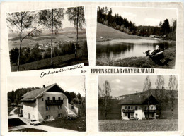 Eppenschlag, Gschwendtmersmühle Div. Bilder - Freyung