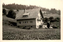 Sirnitz, Pension Pochmann Kärnten - Feldkirchen In Kärnten