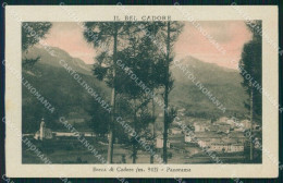 Belluno Borca Di Cadore Panorama Cartolina VK3817 - Belluno