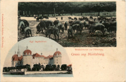 Gruss Aus Moritzburg - Dresden