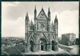 Terni Orvieto Duomo FG Foto Cartolina KB4915 - Terni