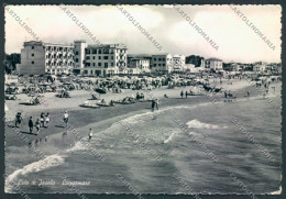 Venezia Jesolo Lido Foto FG Cartolina ZF1062 - Venetië (Venice)