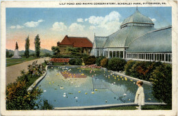 Pittsburgh - Lily Pond - Other & Unclassified