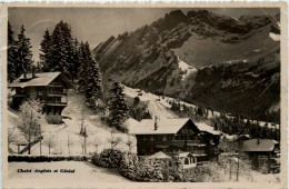 Chalet Anglais Et Genise Arveyes - Autres & Non Classés