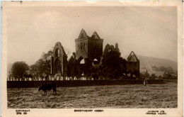 Sweetheart Abbey - Andere & Zonder Classificatie